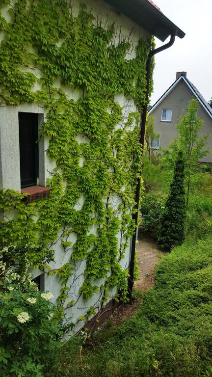 Haus Seefeld Uckeritz Dış mekan fotoğraf